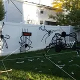 Spider Hollow photo