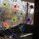 Spider Hollow photo