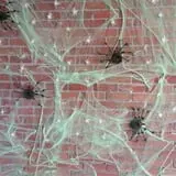 Spider Hollow photo