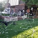 Spider Hollow photo