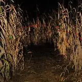 The Dark Side Haunted Adventure