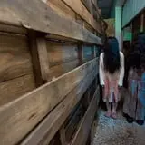 Eerie Acres Farm Haunted House photo