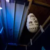 Eerie Acres Farm Haunted House photo