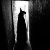 Eerie Acres Farm Haunted House photo