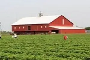 Hann Farms Pumpkin Patch