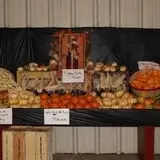 Froberg Fruit and Vegetable Farm photo