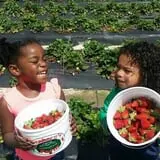 Froberg Fruit and Vegetable Farm photo