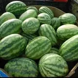 Froberg Fruit and Vegetable Farm photo