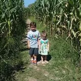 Froberg Fruit and Vegetable Farm photo