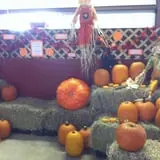 Froberg Fruit and Vegetable Farm photo