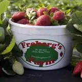 Froberg Fruit and Vegetable Farm photo