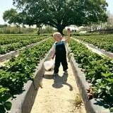 Froberg Fruit and Vegetable Farm photo