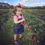 Froberg Fruit and Vegetable Farm photo
