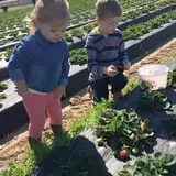 Froberg Fruit and Vegetable Farm photo