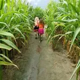 Froberg Fruit and Vegetable Farm photo