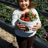 Froberg Fruit and Vegetable Farm photo