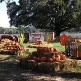 Froberg Fruit and Vegetable Farm photo