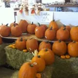 Froberg Fruit and Vegetable Farm photo