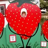 Froberg Fruit and Vegetable Farm photo