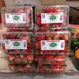 Froberg Fruit and Vegetable Farm photo