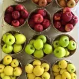 Woodstock Orchards photo