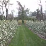 Woodstock Orchards photo