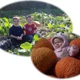 Woodstock Orchards photo