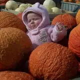 Woodstock Orchards photo