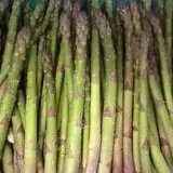 Woodstock Orchards photo