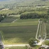 Woodstock Orchards photo