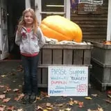 Woodstock Orchards photo