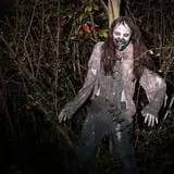 Fear Forest Haunted House and Hayride photo