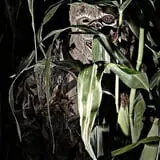 Fear Forest Haunted House and Hayride photo