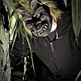 Fear Forest Haunted House and Hayride photo