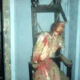 Fear Forest Haunted House and Hayride photo