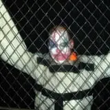 Fear Forest Haunted House and Hayride photo