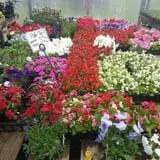 Hen-Hawk Acres photo