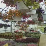 Hen-Hawk Acres photo