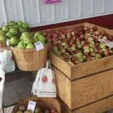 Hen-Hawk Acres photo
