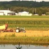 Hen-Hawk Acres photo