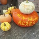 Hen-Hawk Acres photo