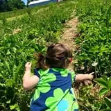 Hen-Hawk Acres photo