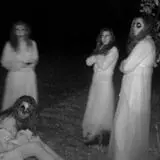 Straw Maze & Haunted Forest photo