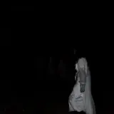 Straw Maze & Haunted Forest photo