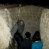 Straw Maze & Haunted Forest photo