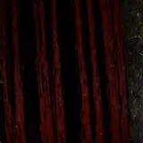 Straw Maze & Haunted Forest photo