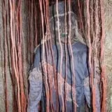 Straw Maze & Haunted Forest photo