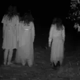 Straw Maze & Haunted Forest photo