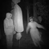 Straw Maze & Haunted Forest photo
