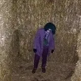 Straw Maze & Haunted Forest photo